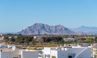 Apartamento / piso - Nueva construcción  - Benijofar - A-88762