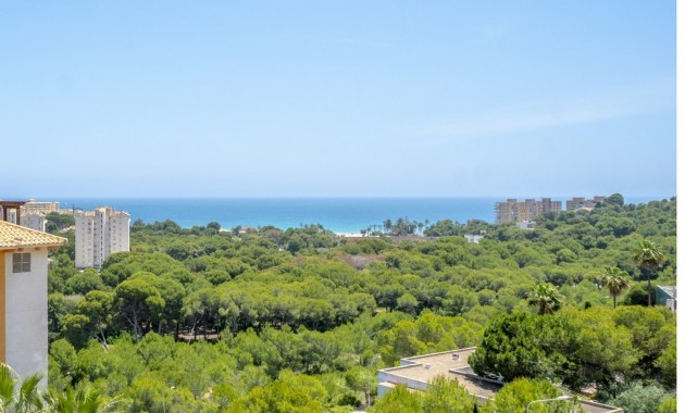 Apartamento / piso - Venta - Dehesa de Campoamor - Dehesa de Campoamor