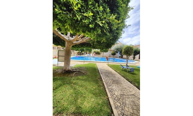 Apartamento / piso - Venta - Orihuela Costa - Campoamor