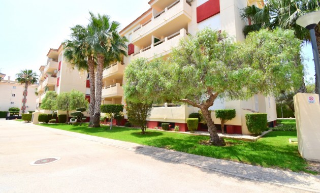 Apartamento / piso - Venta - Orihuela Costa - Playa Flamenca