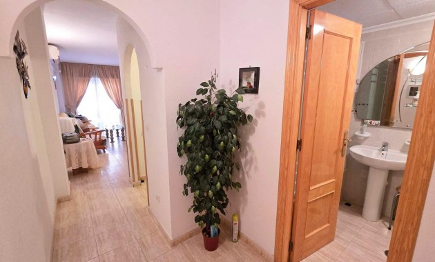 Apartamento / piso - Venta - Torrevieja - Estacion de autobuses