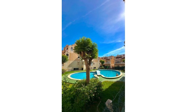 Apartamento / piso - Venta - Torrevieja - Estacion de autobuses
