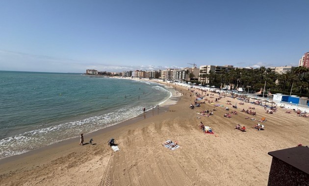 Apartamento / piso - Venta - Torrevieja - Los Frutales