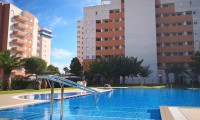 Apartment / flat - Sale - Guardamar del Segura - PC-26648