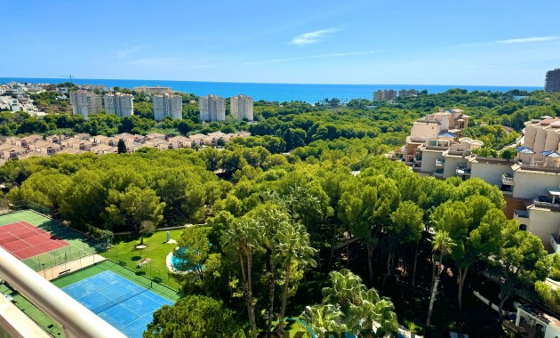 Apartment / flat - Sale - Orihuela Costa - Campoamor