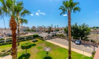 Apartment / flat - Sale - Orihuela Costa - SBDV-7777