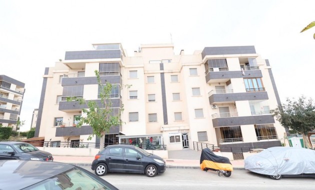 Apartment / flat - Sale - San Miguel de Salinas - Pueblo 9