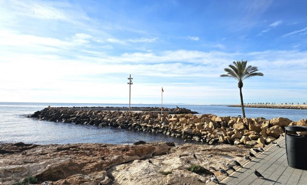 Apartment / flat - Sale - Torrevieja - Paseo maritimo