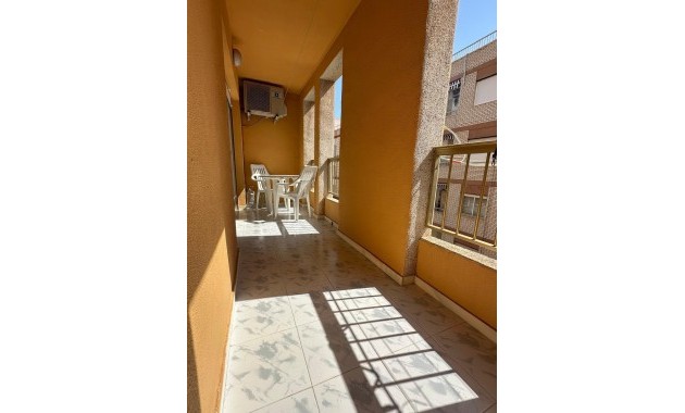 Apartment / flat - Sale - Torrevieja - Paseo maritimo