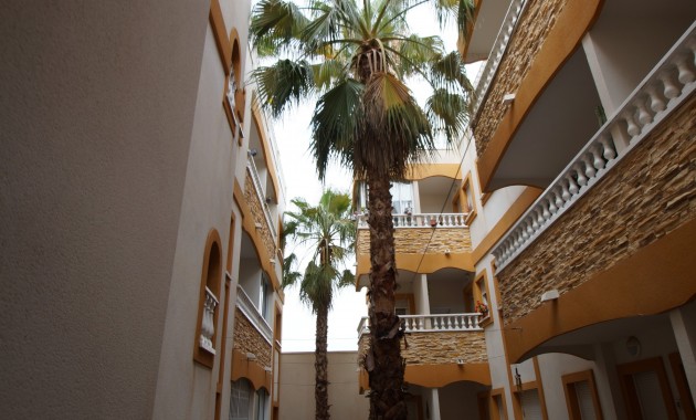 Appartement / flat - Herverkoop - Formentera del Segura - Formentera - Village