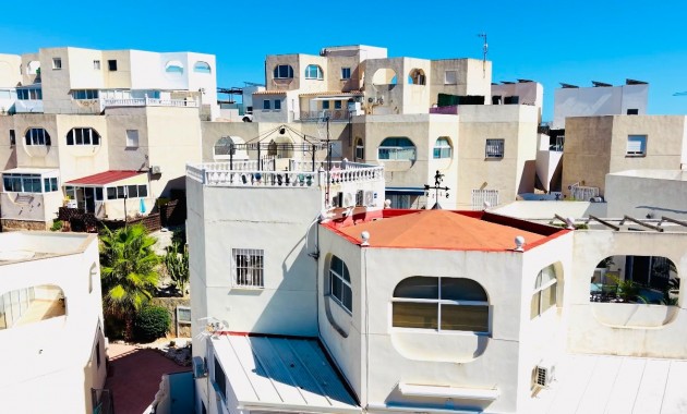 Appartement / flat - Herverkoop - San Miguel de Salinas - San Miguel de Salinas