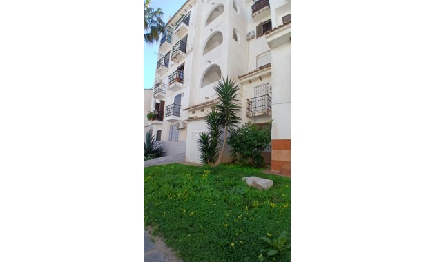 Appartement / flat - Herverkoop - Torrevieja - Centro