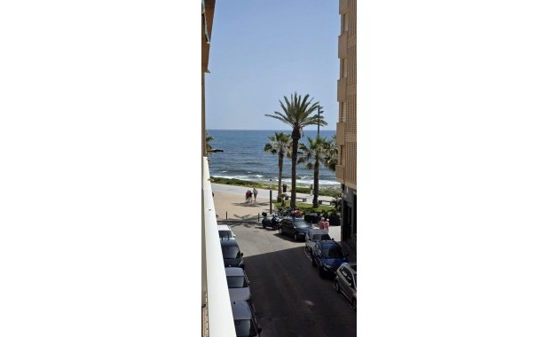 Appartement / flat - Herverkoop - Torrevieja - Estacion de autobuses