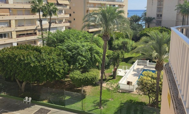 Appartement / flat - Herverkoop - Torrevieja - Estacion de autobuses