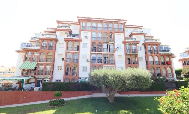 Appartement / flat - Herverkoop - Torrevieja - La Mata
