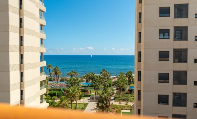 Ático - Venta - Torrevieja - Punta prima