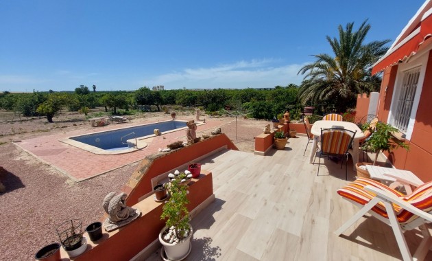 Country Property/Finca - Herverkoop - San Miguel de Salinas - San Miguel de Salinas