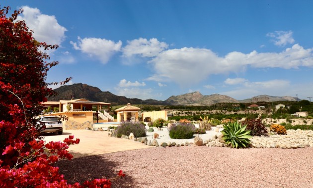 Country Property - Herverkoop - Albatera - Albatera