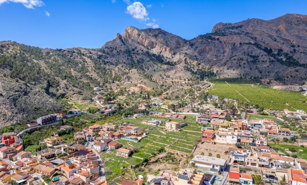 Country Property - Sale - Orihuela - Raiguero de Bonanza