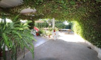 Country Property - Venta - Albatera - PC-83968
