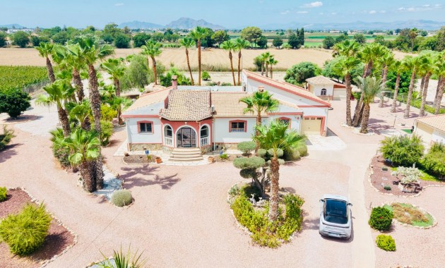 Detached Villa - Sale - Daya Vieja - Daya Vieja