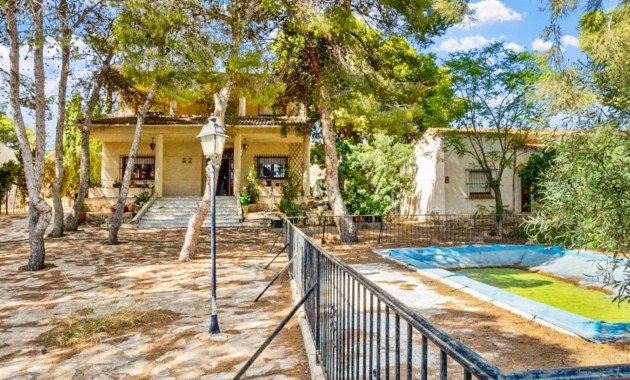 Detached Villa - Sale - Torrevieja - Los Balcones - Los Altos del Edén