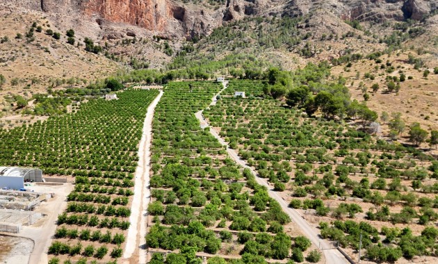 Finca Country Property - Herverkoop - Orihuela - Orihuela