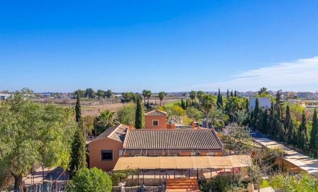 Finca / Country Property - Venta - Catral - Catral