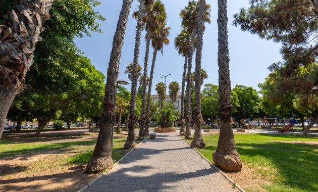 Ground Floor - Sale - Torrevieja - Estacion de autobuses