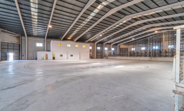 Industrial unit - Long time Rental - Pilar de la Horadada -
                Polígono industrial Cañada de Práez