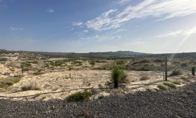 Land - Herverkoop - Torremendo - Torremendo