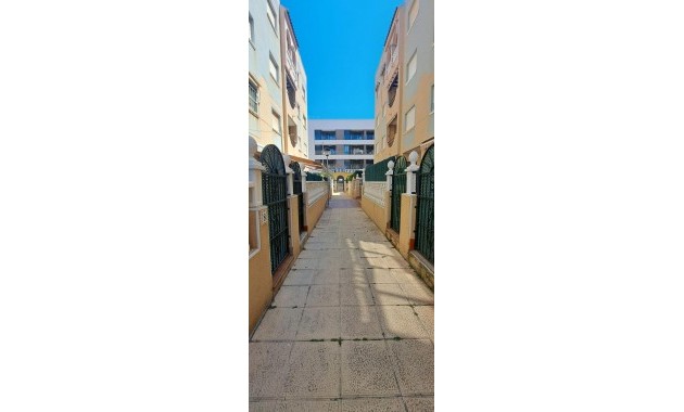 Penthouse - Sale - Torrevieja - La Mata pueblo