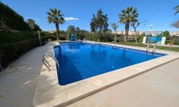 Studio - Herverkoop - Torrevieja - SH-98441
