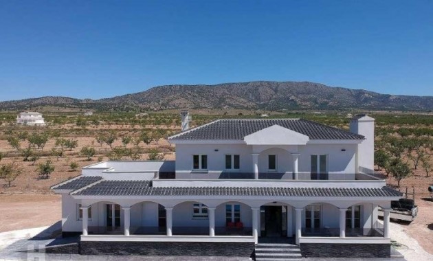 Villa - New Build - Pinoso - el Pinós / Pinoso