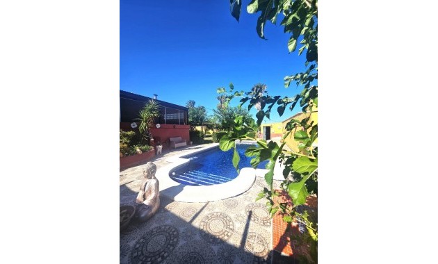 Villa - Venta - Dolores - Comunidad valenciana