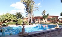 Villa - Venta - Torrevieja - IH-68162