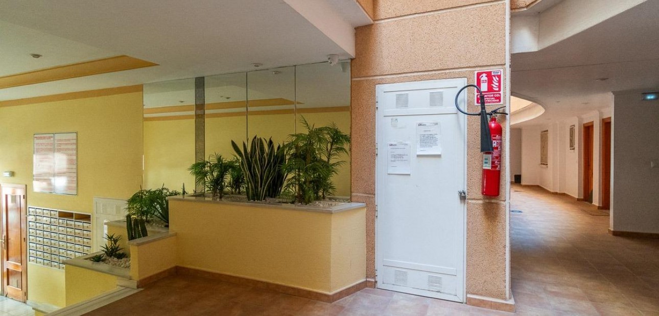 Venta - Apartamento / piso -
Torrevieja - Estacion de autobuses