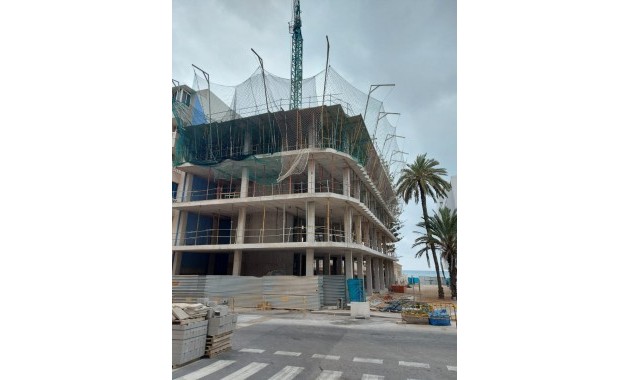 Nueva construcción  - Ático -
Torrevieja - Torrevieja - Playa de los Locos