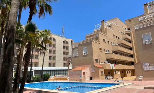 Sale - Apartment / flat -
Punta Prima - Punta Prima Torrevieja