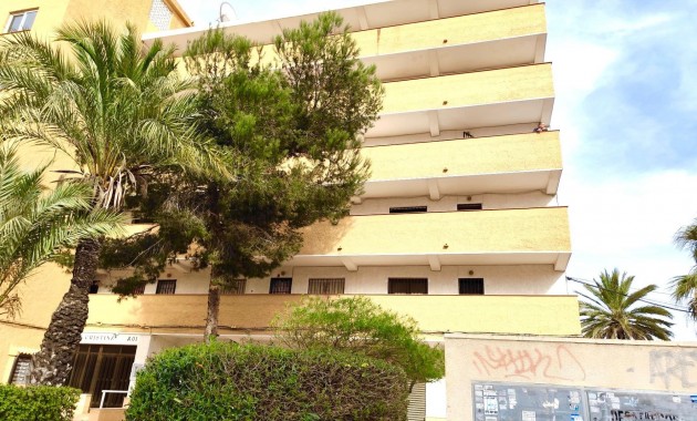 Sale - Apartment / flat -
Guardamar del Segura - Pinomar