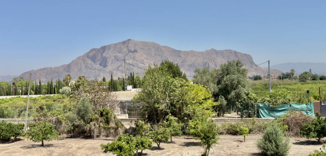 Sale - Finca / Country Property -
Orihuela