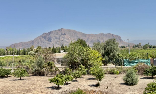 Sale - Finca / Country Property -
Orihuela