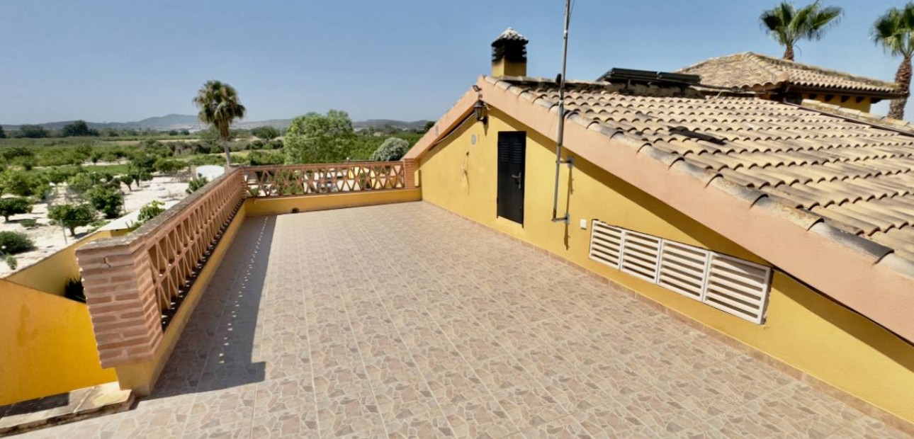 Sale - Finca / Country Property -
Orihuela