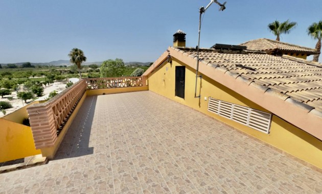 Sale - Finca / Country Property -
Orihuela