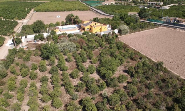 Sale - Finca / Country Property -
Orihuela