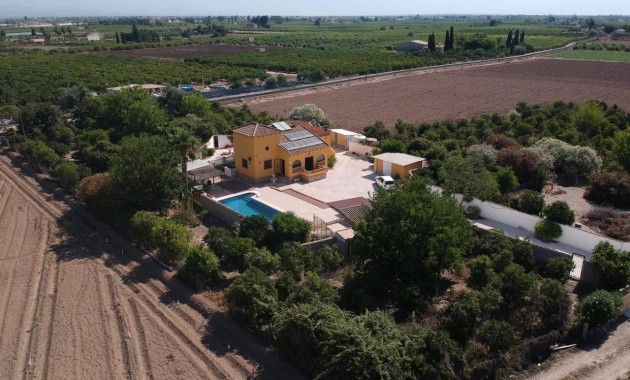 Sale - Finca / Country Property -
Orihuela