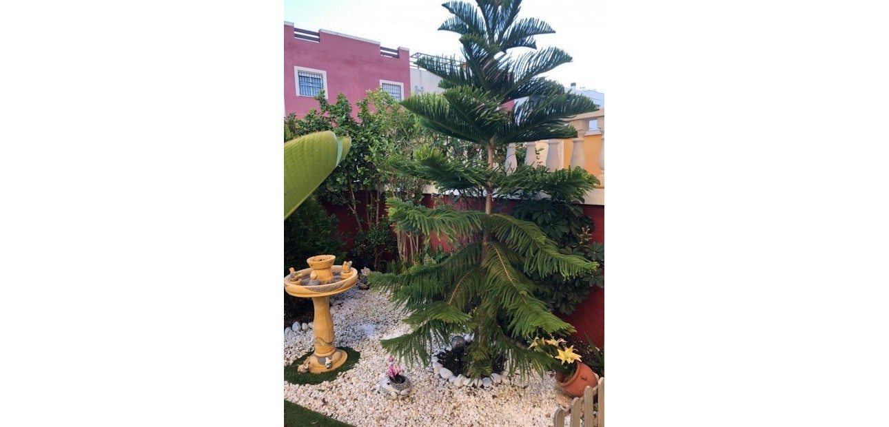 Sale - Bungalow -
Orihuela Costa - PAU 26