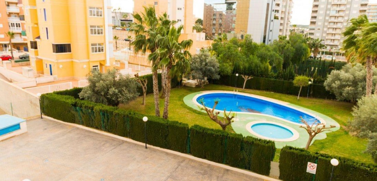 Venta - Apartamento / piso -
Guardamar del Segura - CENTRO