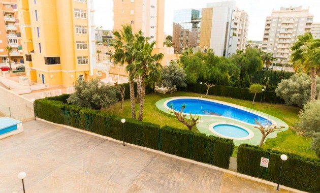 Venta - Apartamento / piso -
Guardamar del Segura - CENTRO