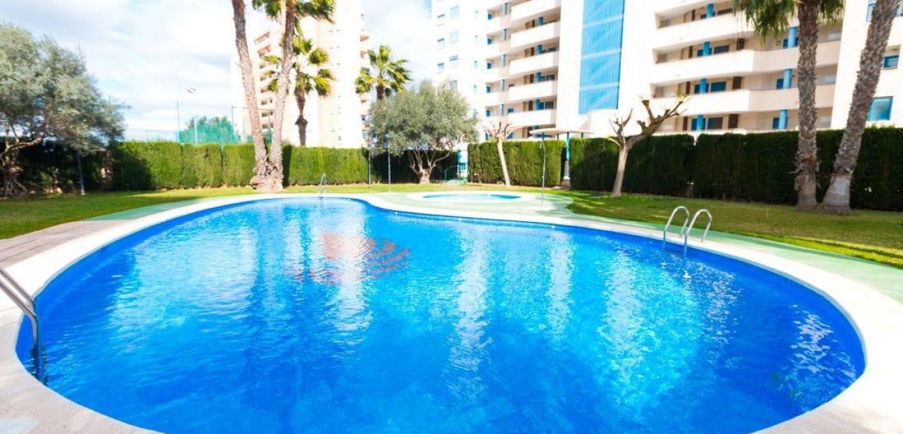 Venta - Apartamento / piso -
Guardamar del Segura - CENTRO